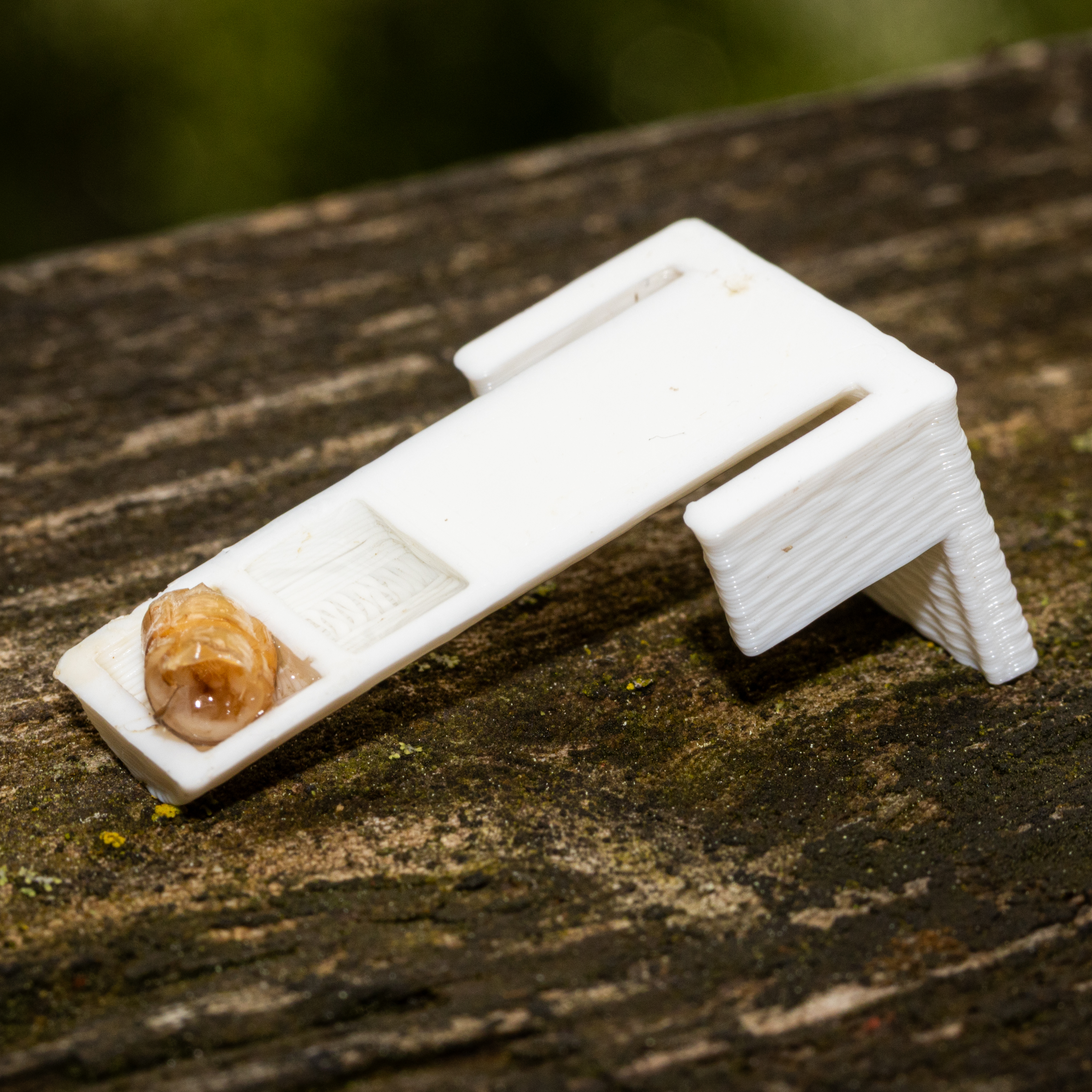 A test tube feeder.
