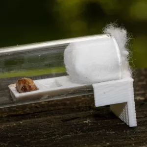 A test tube feeder in a test tube.